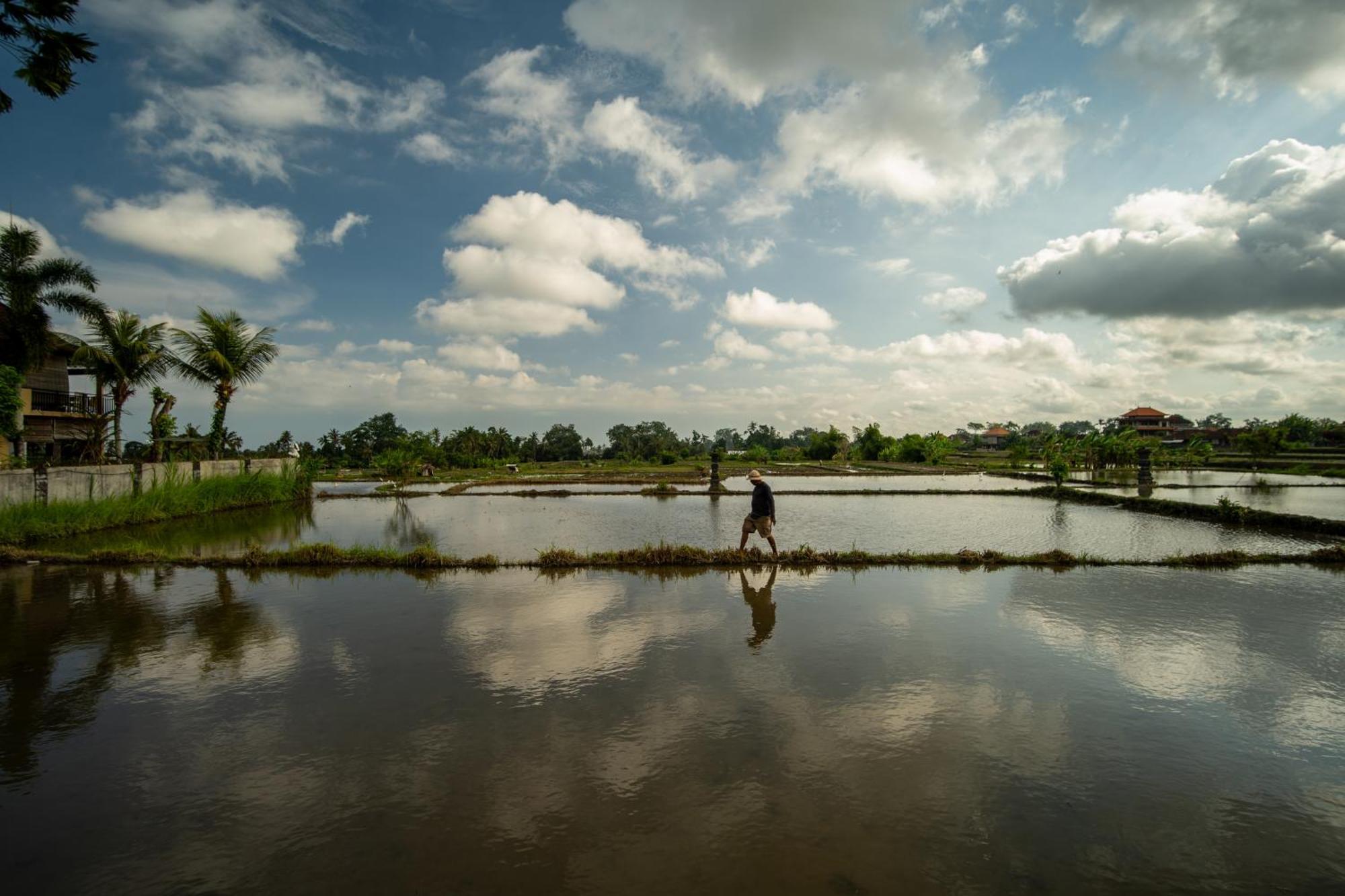 Kubu Sari Ubud Экстерьер фото